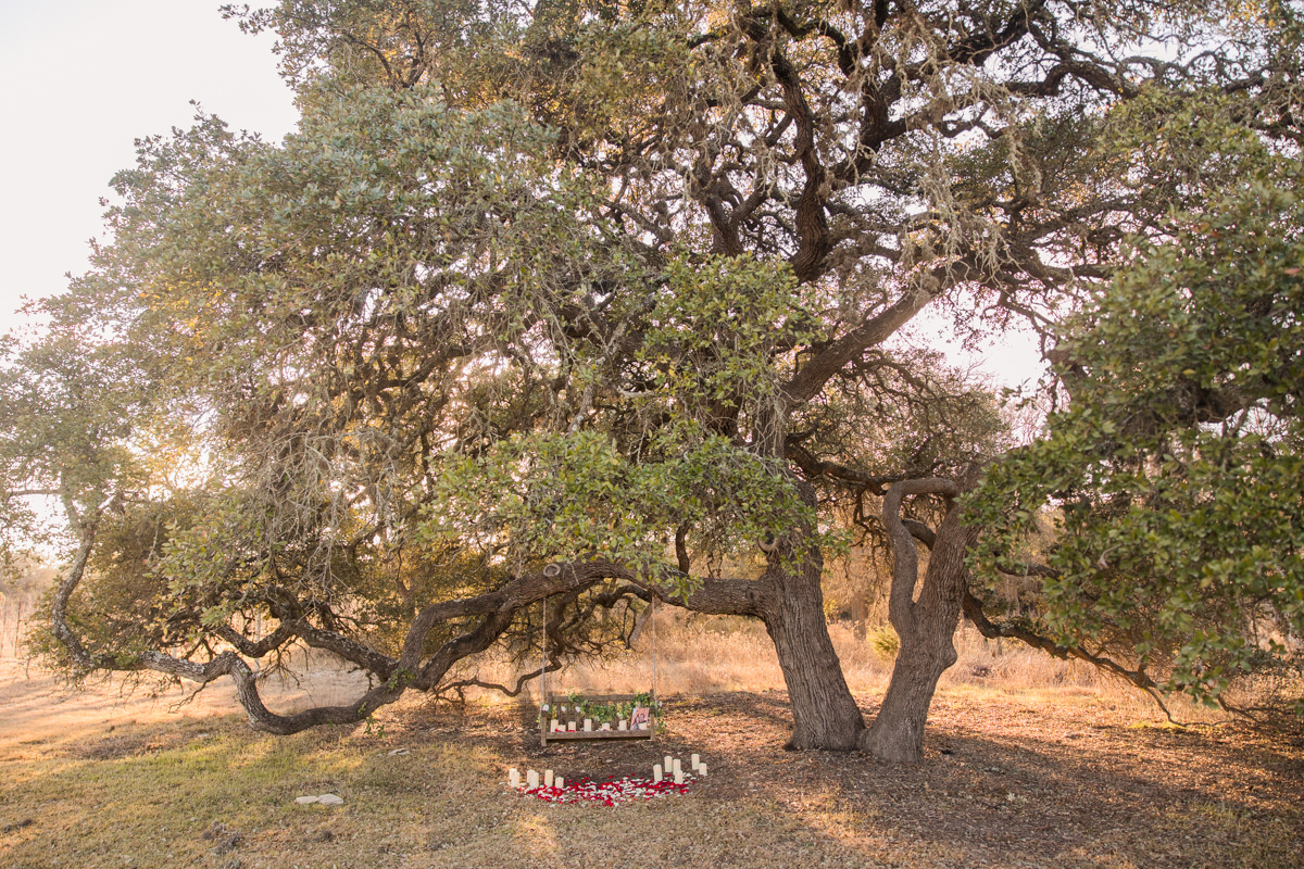 Fall Creek Vineyards Marriage Proposal