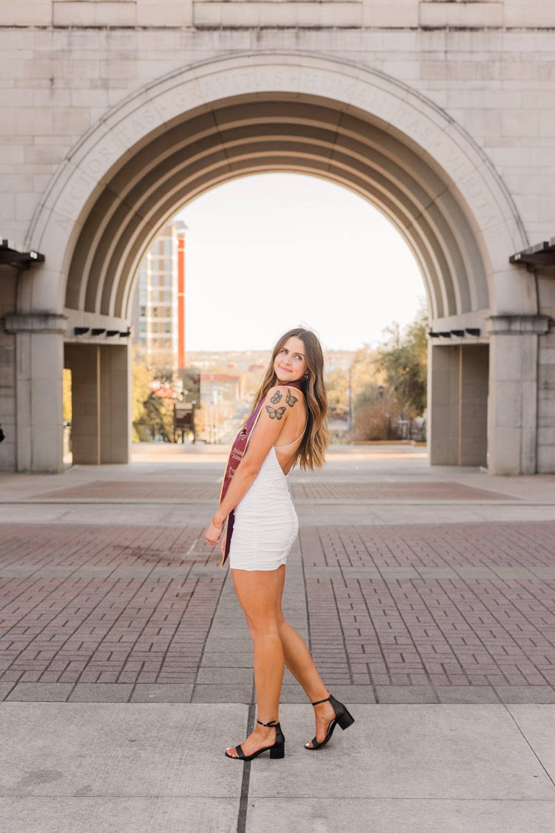 Texas State Arch Stole 