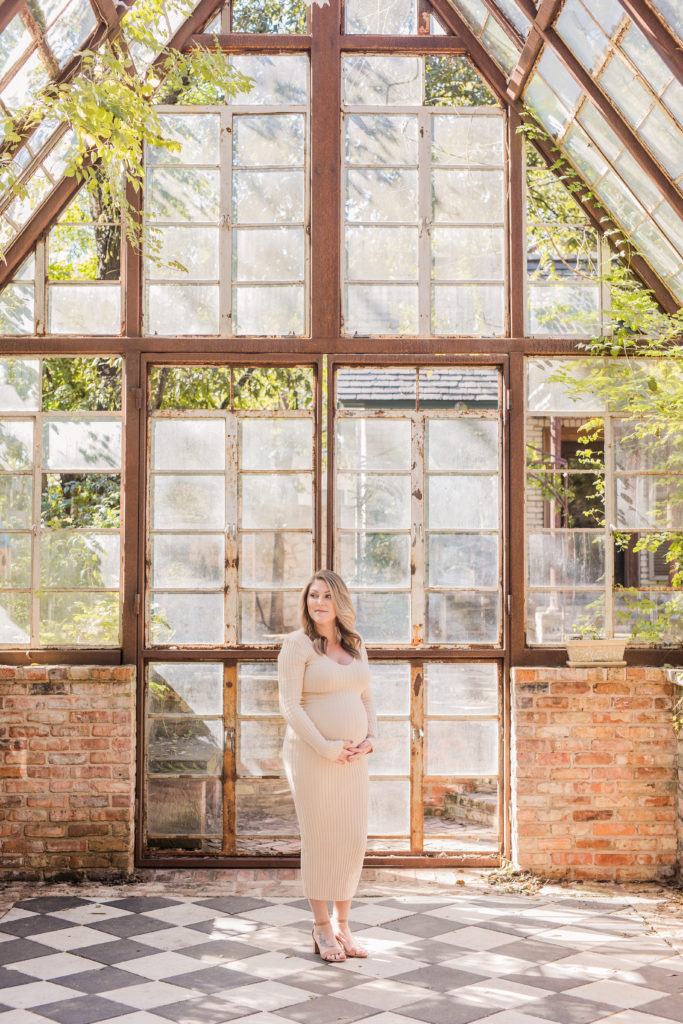Maternity Photos at The Sekrit Theater Greenhouse