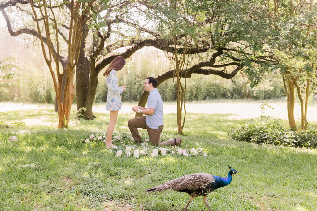 Commons Proposal Fears (That You Really Shouldn't Worry About!) | Austin Photographer