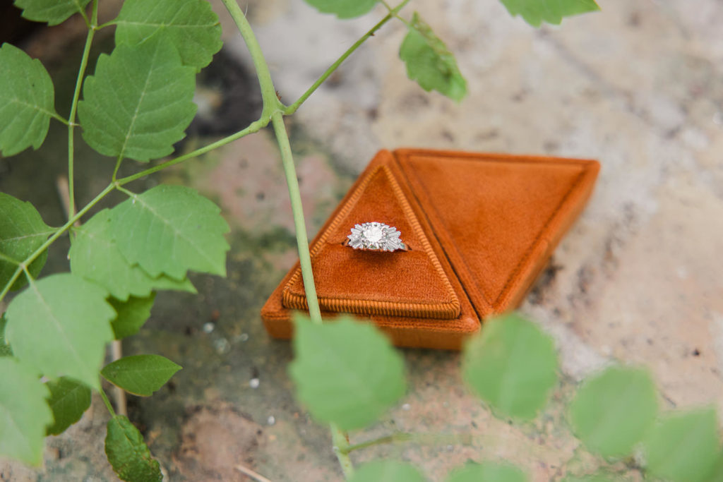 Commons Proposal Fears (That You Really Shouldn't Worry About!) | Austin Photographer