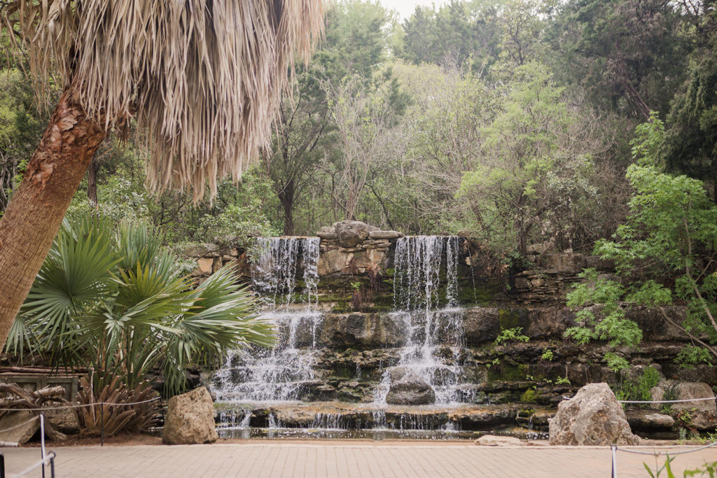 Best Senior Photo Locations in Austin – Zilker Botanical Garden