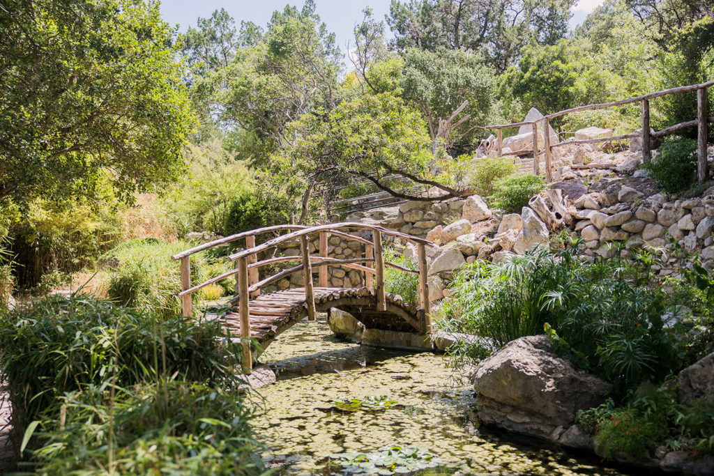 Best Senior Photo Locations in Austin – Zilker Botanical Garden