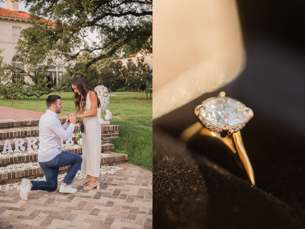 Marriage Proposal at Commodore Perry Estate