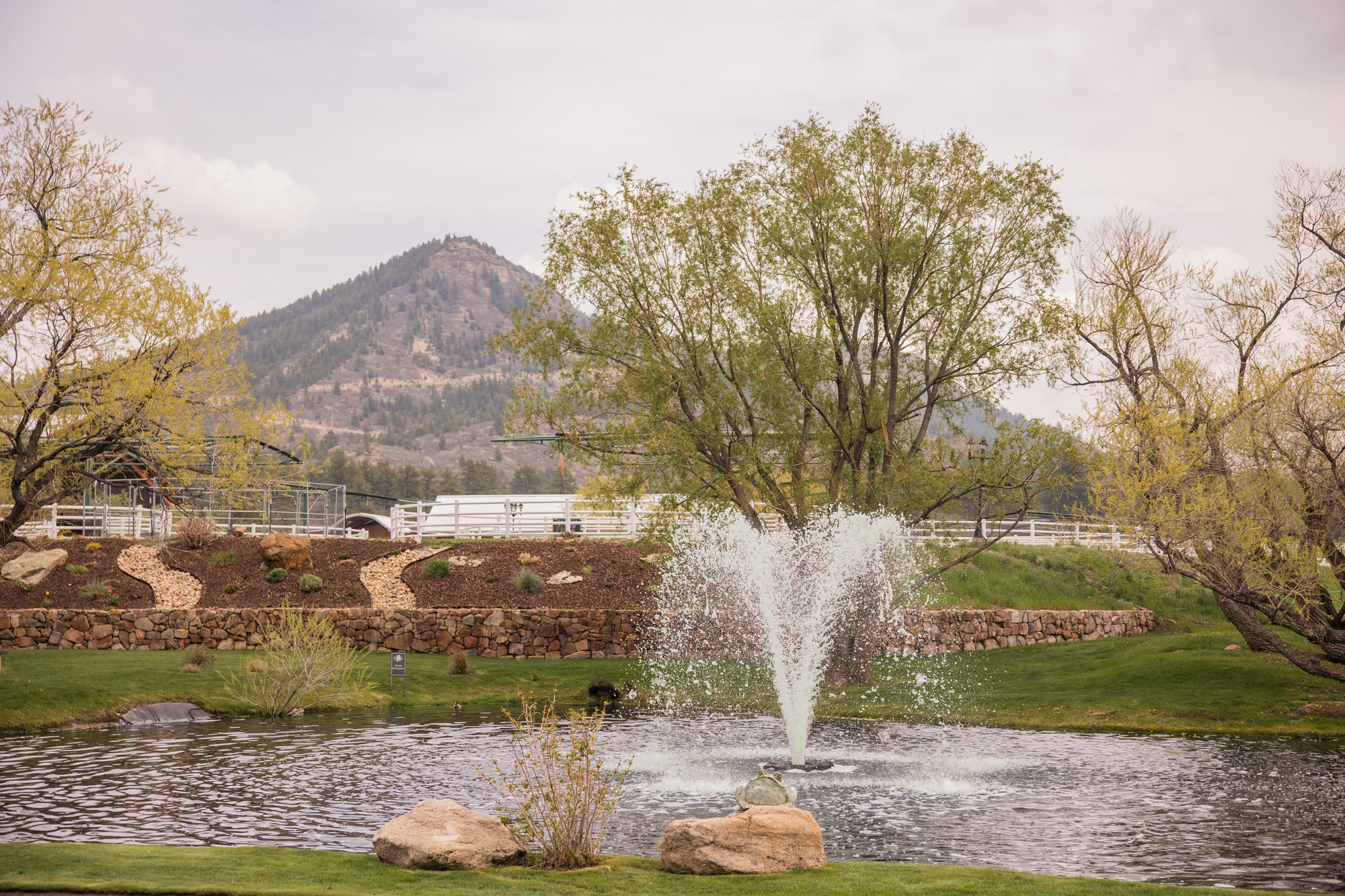 Destination Wedding at Crooked Willow Farms in Larkspur, Colorado