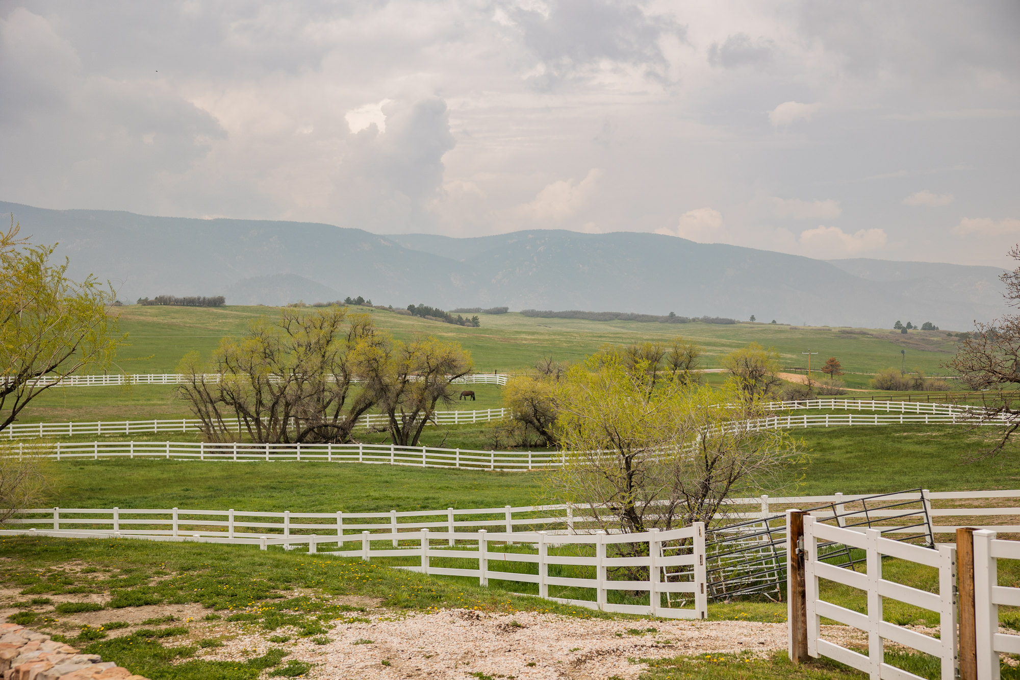 Destination Wedding at Crooked Willow Farms in Larkspur, Colorado
