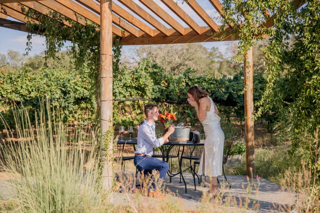 William Chris Vineyards Marriage Proposal – Hye, Texas near Fredericksburg