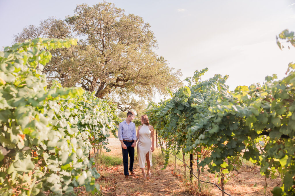 William Chris Vineyards Marriage Proposal – Hye, Texas near Fredericksburg