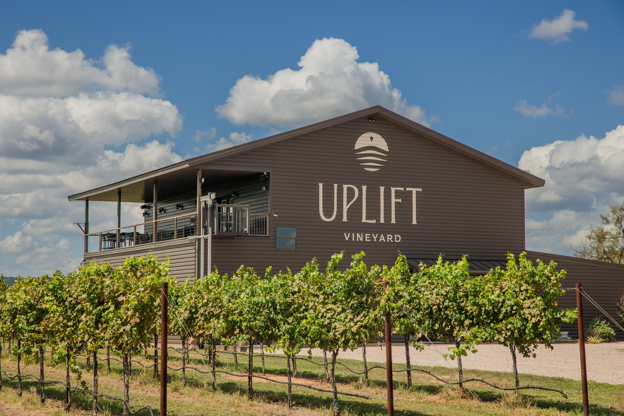 Proposal at Uplift Vineyard in Burnet, Texas