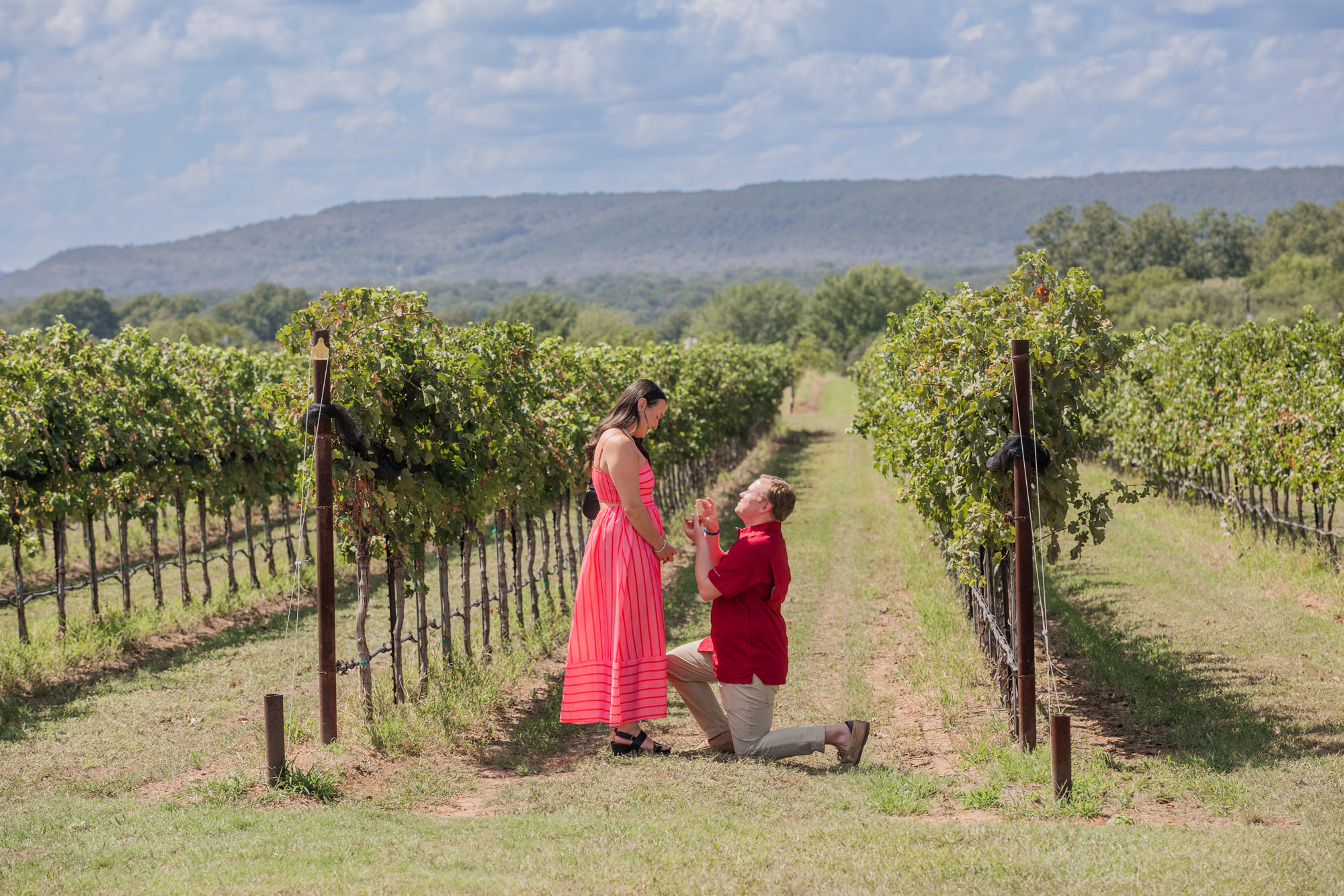 Proposal at Uplift Vineyard in Burnet, Texas