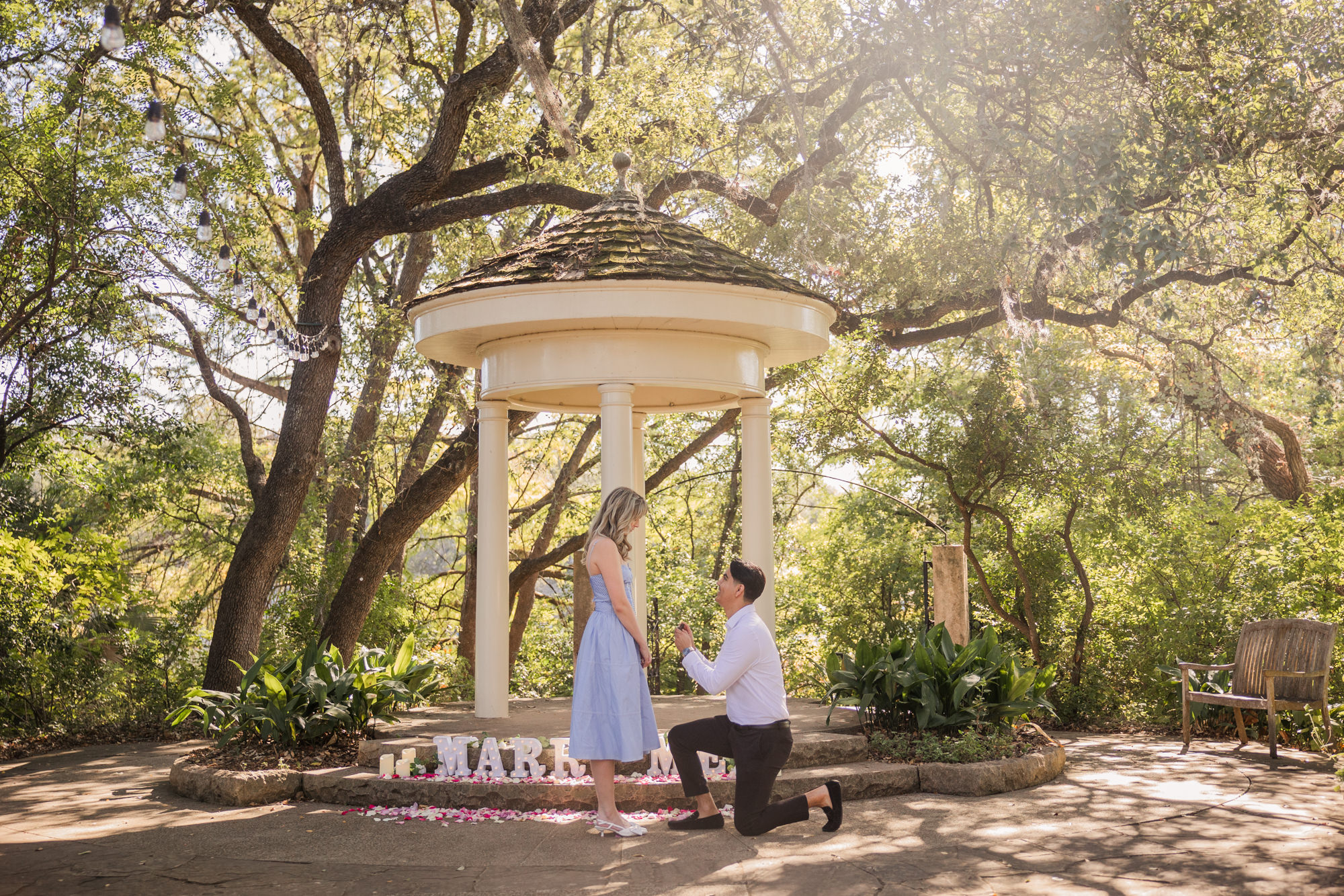 Laguna Gloria Austin Marriage Proposal Photographer