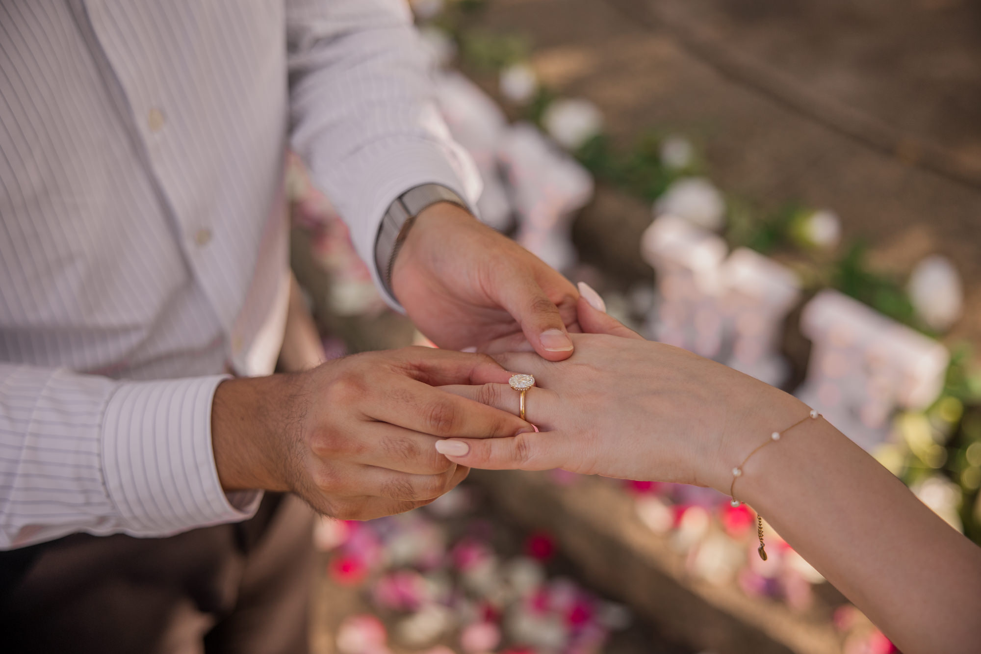 Laguna Gloria Austin Marriage Proposal Photographer