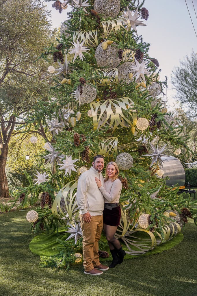 Four Seasons Austin, Texas Christmas tree