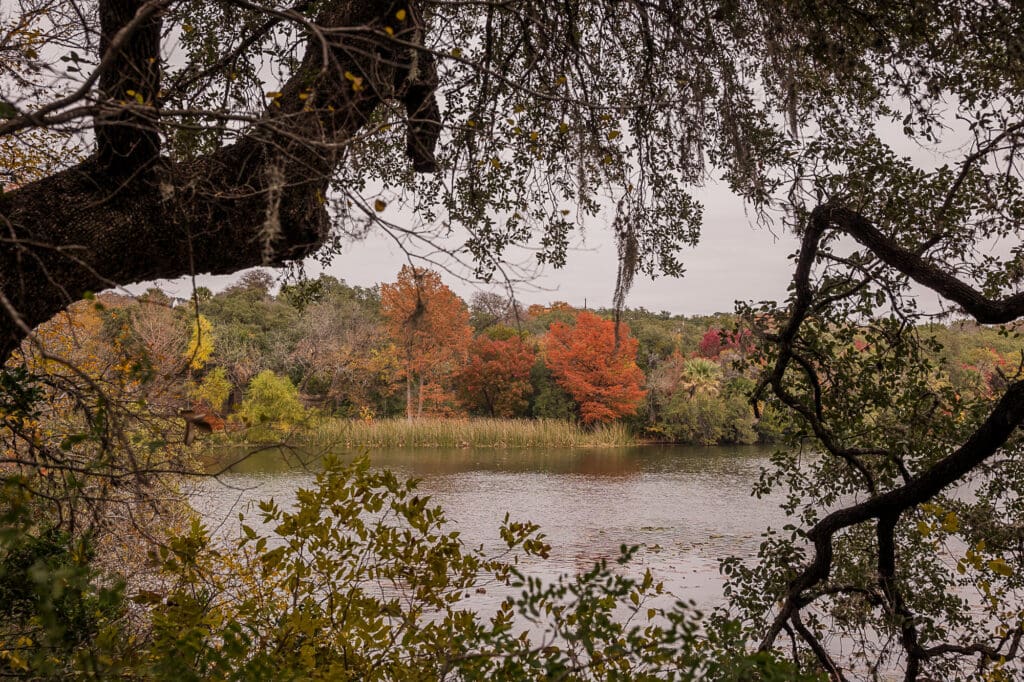 Laguna Gloria Contemporary Austin landscape photo
