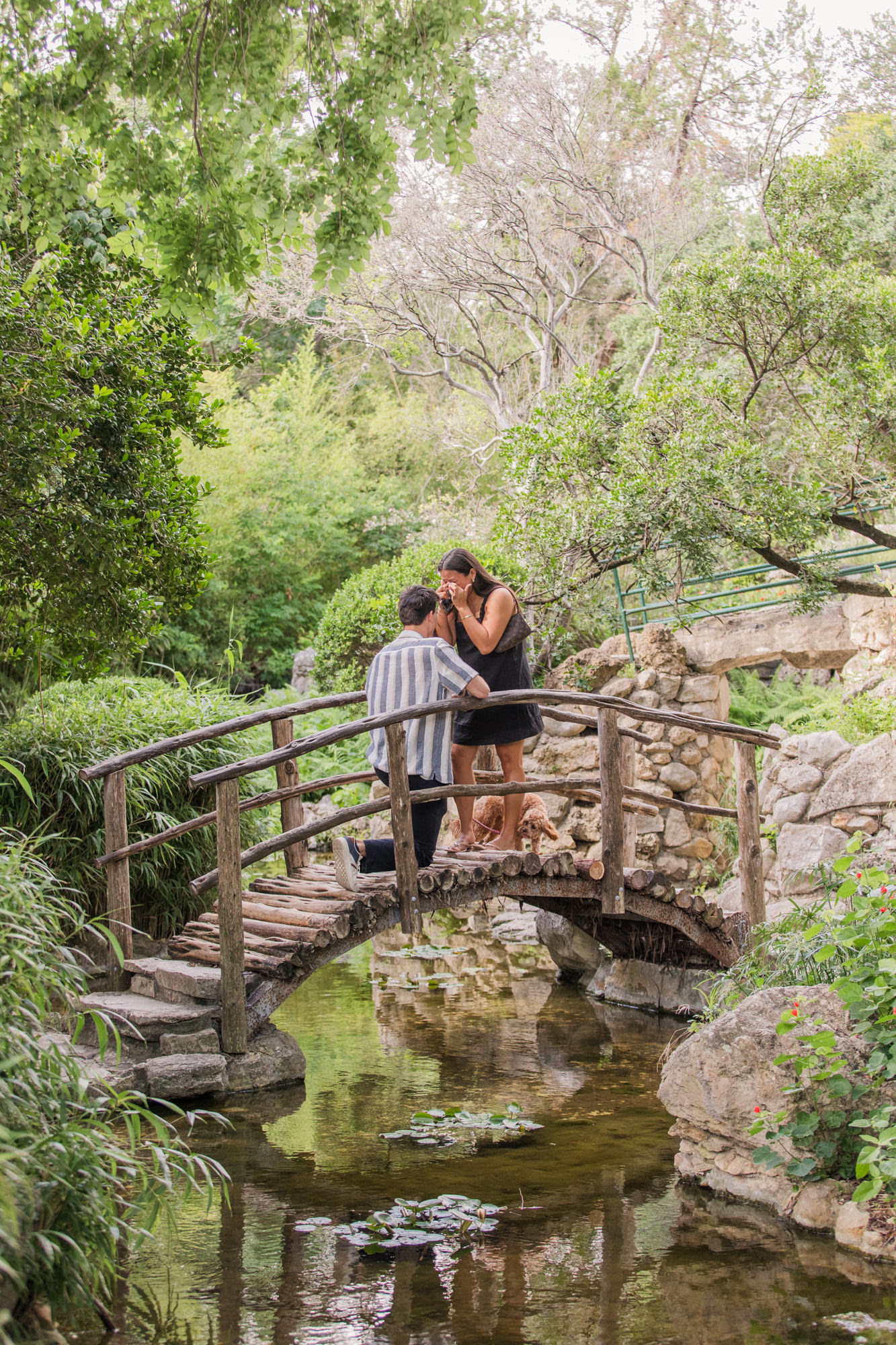 Zilker Botanical Garden Japanese Bridge Proposal